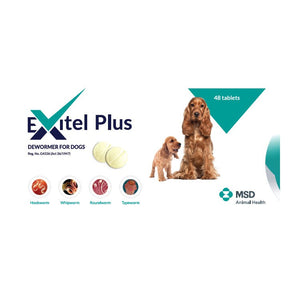 Exitel Plus Dewormer For Dogs