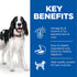 Hill's Science Plan Adult Wet Dog Food with Turkey Key Benefits