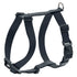 Hunter London Rapid Harness Medium Anthracite