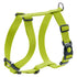 Hunter London Rapid Harness Medium Lime