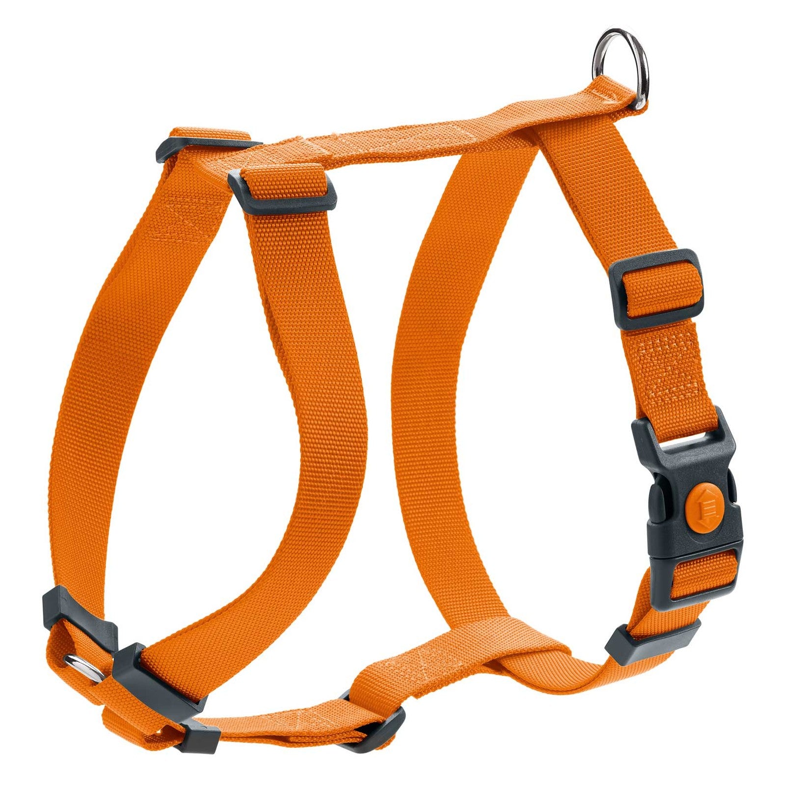 Hunter London Rapid Harness Medium Orange