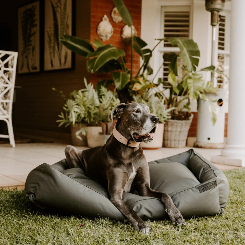 Huntlea Kalahari Slumber Dog Bed Lifestyle Image