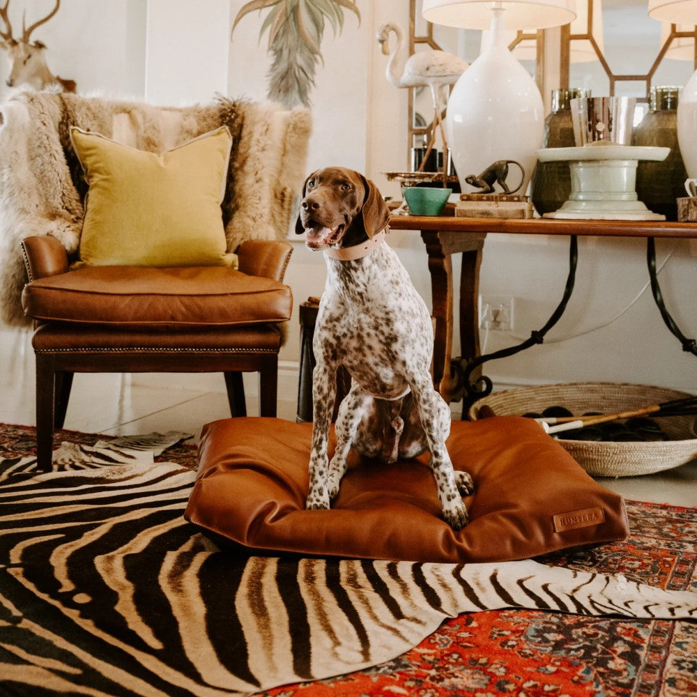 Huntlea Leather Napper Dog Bed Lifestyle Image