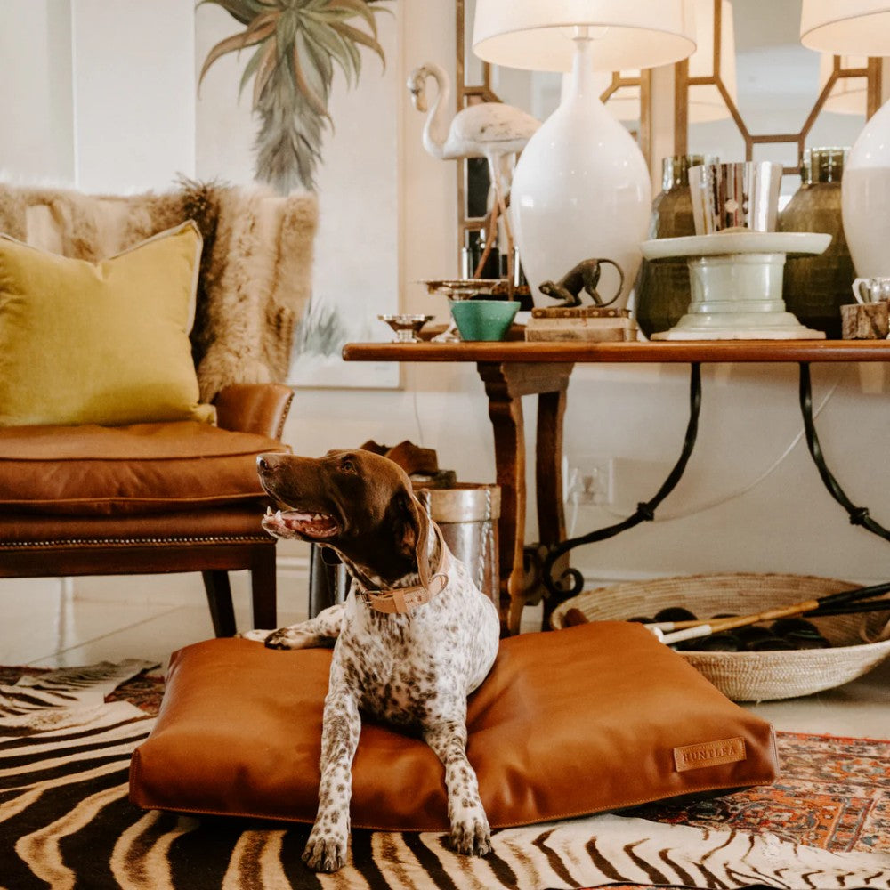 Huntlea Leather Napper Dog Bed Lifestyle Image
