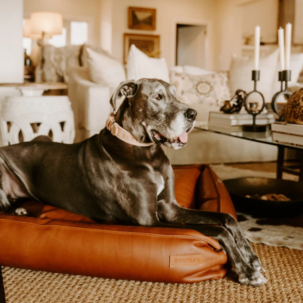 Huntlea Leather Slumber Dog Bed