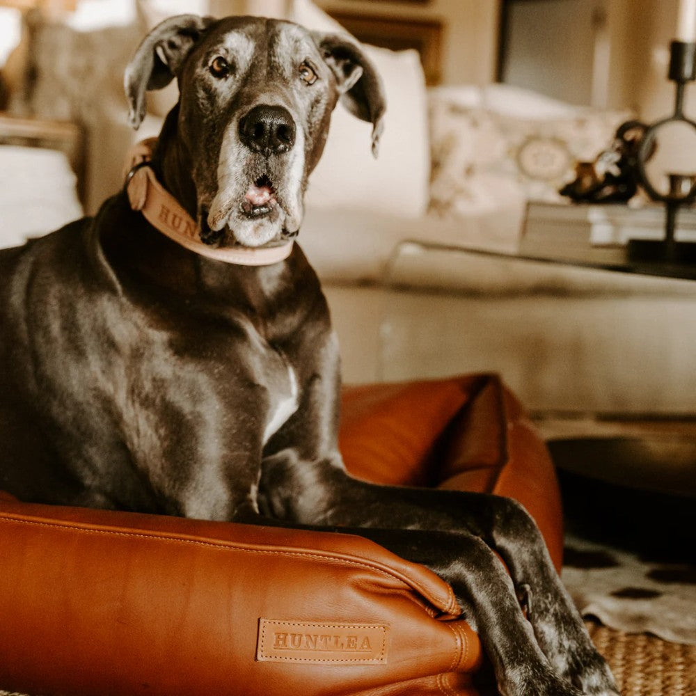 Huntlea Leather Slumber Dog Bed