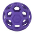 JW Pet Hol-ee Roller Purple