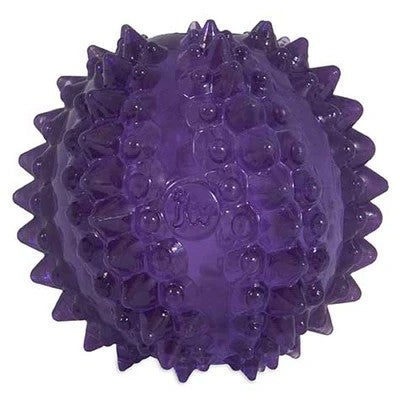 JW Pet Puppy Bristl-ee Cactus Ball