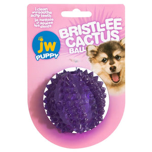 JW Pet Puppy Bristl-ee Cactus Ball with Packaging