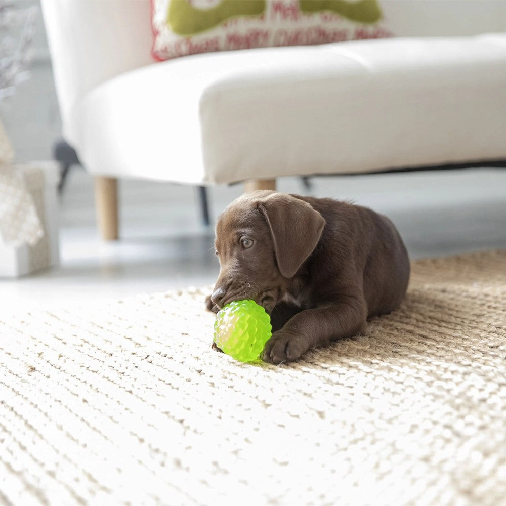 JW Pet Puppy Hedgehog Squeak-ee Ball