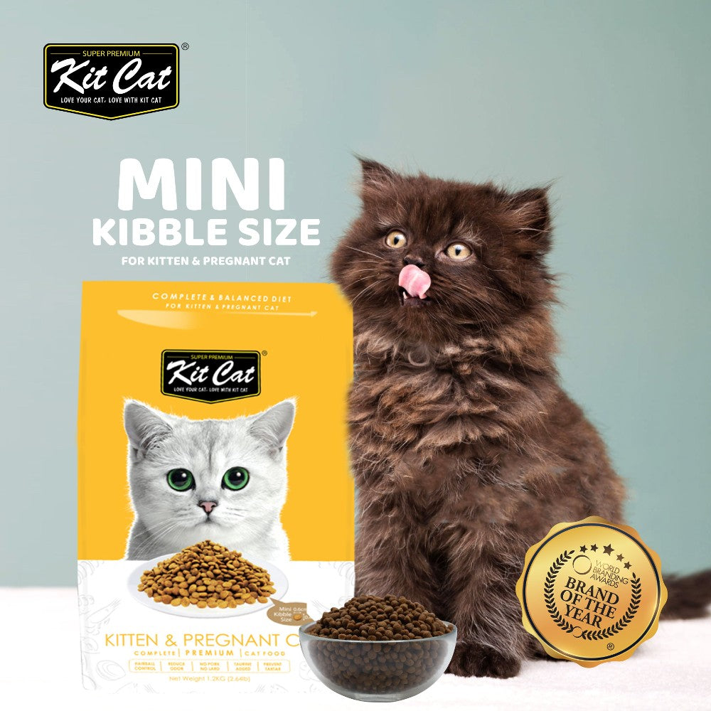 Kit Cat Kitten & Pregnant Cat Dry Food - Healthy Growth