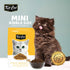 Kit Cat Kitten & Pregnant Cat Dry Food - Healthy Growth