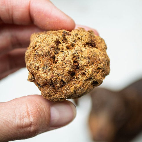 Mbuni Ostrich Truffles Close Up of Treat