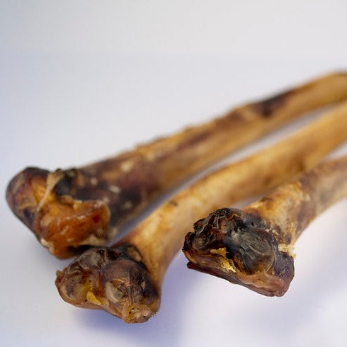 Mbuni Ostrich Wing Bone Full - Close Up