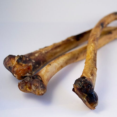 Mbuni Ostrich Wing Bone Full - Close Up