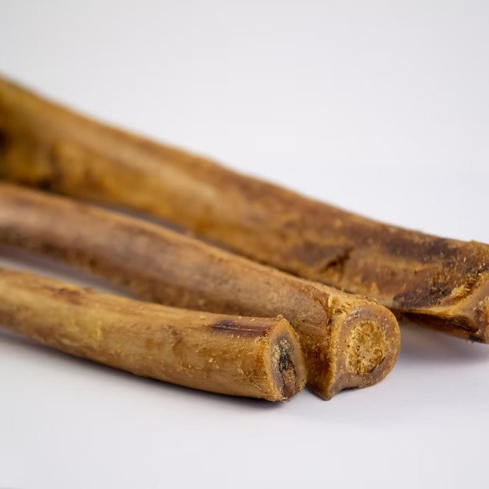 Mbuni Ostrich Wingbone Halves Close Up of Bones