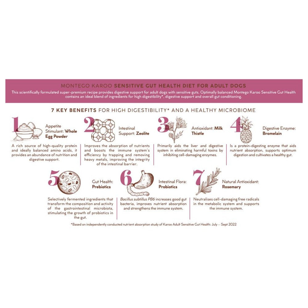 Montego Karoo Adult Dog Targeted Care Sensitive Gut Health – lifestyle image (available online in South Africa)