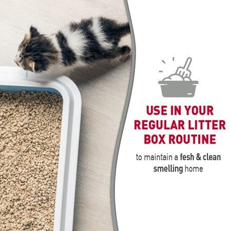 Litter box odor destroyer best sale