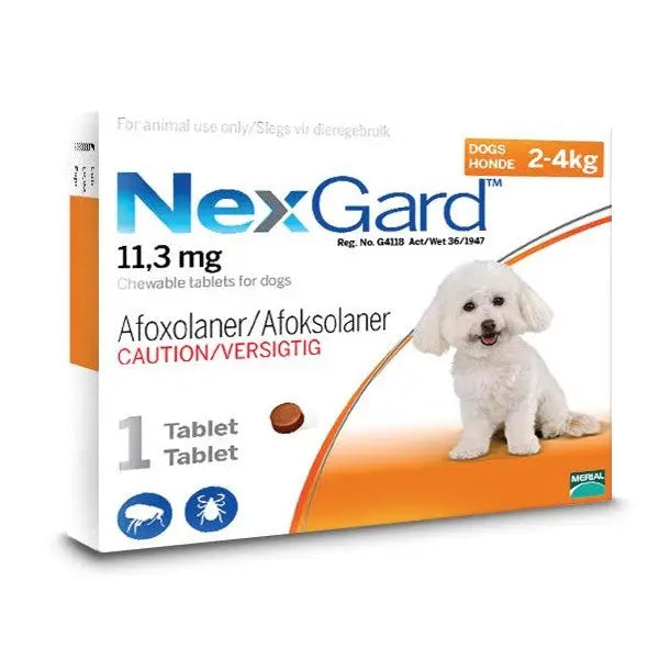 NexGard Chewable Tick & Flea Tablets for Dogs