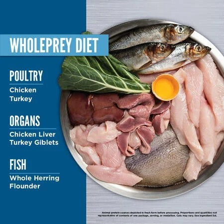 Orijen Original Freeze-Dried Dog Food – lifestyle image (SA)