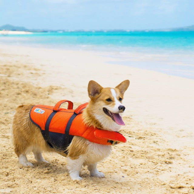 Outward Hound Ripstop Life Jacket