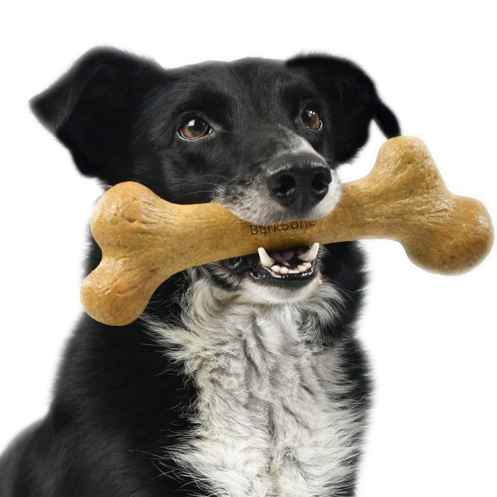 Pet Qwerks Dino Wood Barkbone Peanut Butter Lifestyle Image with Dog