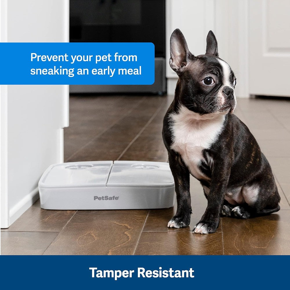 PetSafe 2 Meal Pet Feeder - lifestyle image with pet South Africa