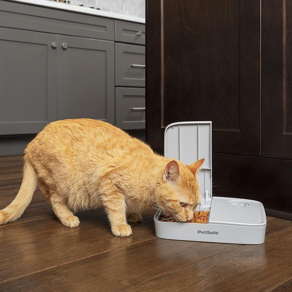 PetSafe 2 Meal Pet Feeder - lifestyle image with pet South Africa orders