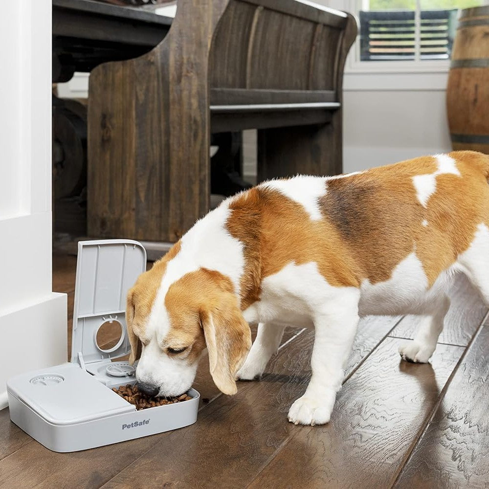 PetSafe 2 Meal Pet Feeder - lifestyle image with pet South Africa nationwide