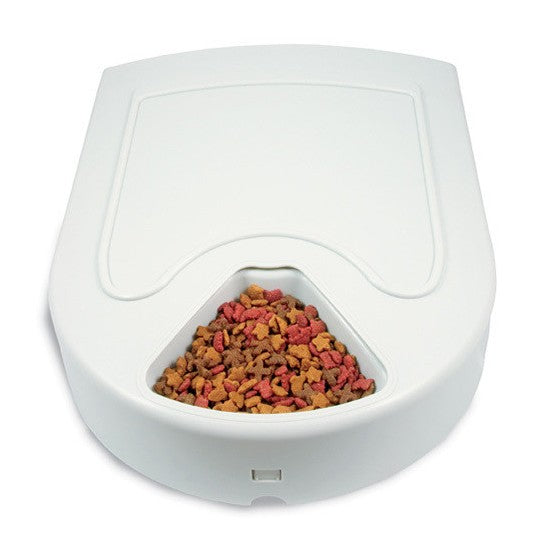 PetSafe 5 Meal Pet Feeder - lifestyle image with pet for South Africa