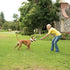 Petsafe Stay & Play Wireless Fence Lifestyle Image