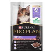 Purina Pro Plan Kitten Salmon in Gravy Wet Cat Food - lifestyle image with pet South Africa orders