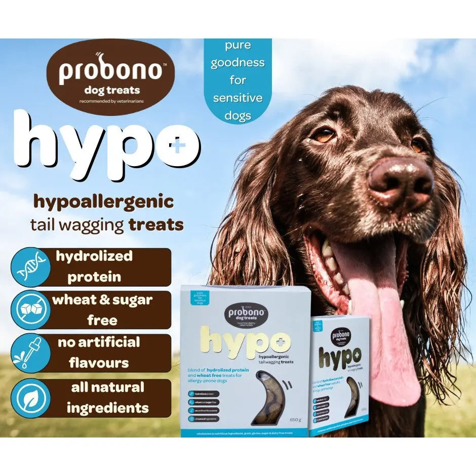 Probono Hypoallergenic Dog Biscuits Features and Benefits