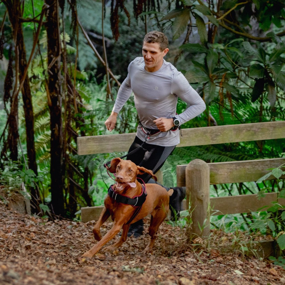 Rogz Airtech Sport Belt & Lead Rogz