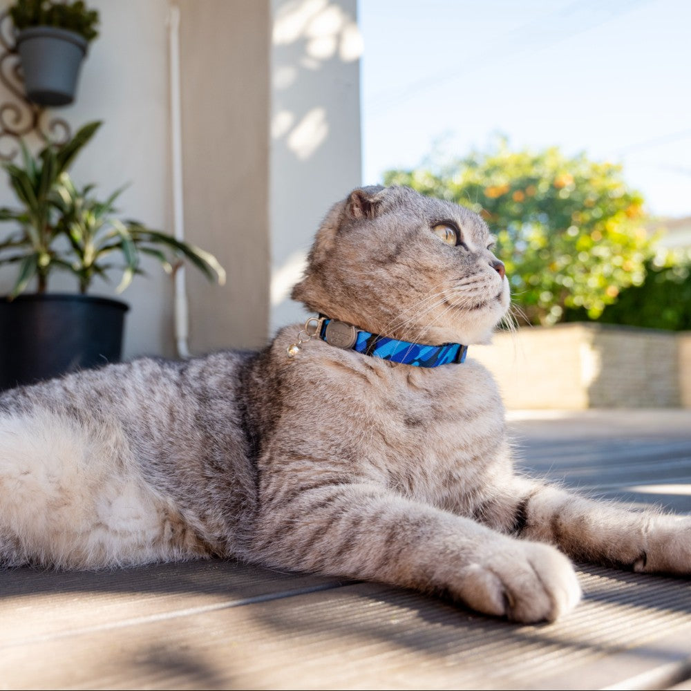 Rogz Catz Fusioncat Safety Cat Collar Lifestyle Image