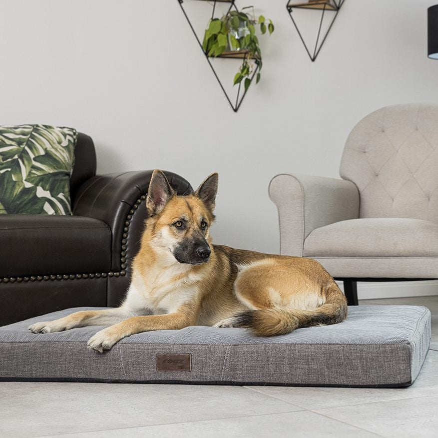 Rogz Lounge Flat Rectangular Bed | Buy Pet Beds Online – Canine & Co