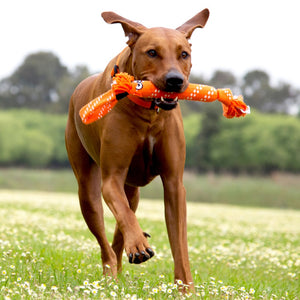 Rogz Scrubz Oral Care Dog Toy Orange Lifestyle Image