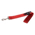 Rogz Utility Reflective Classic Lead Landing Strip Red