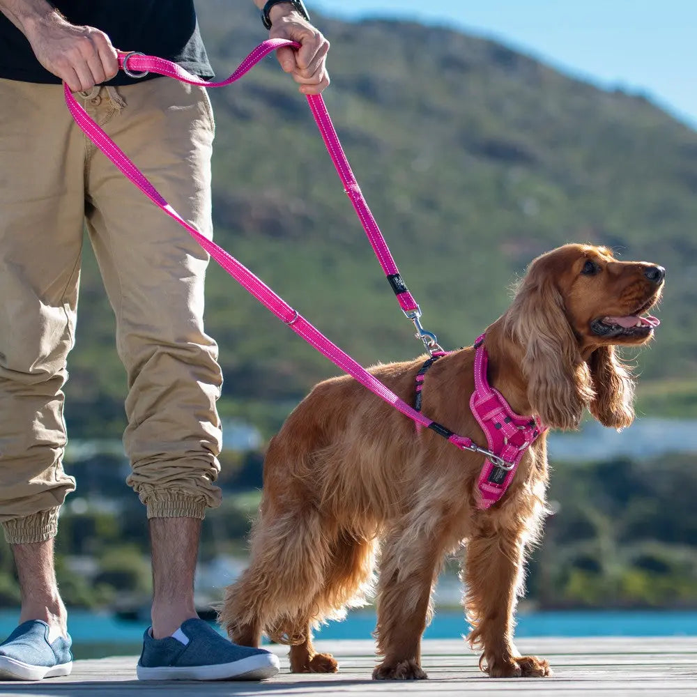 Rogz Utility Reflective Control Harness Pink Lifestyle