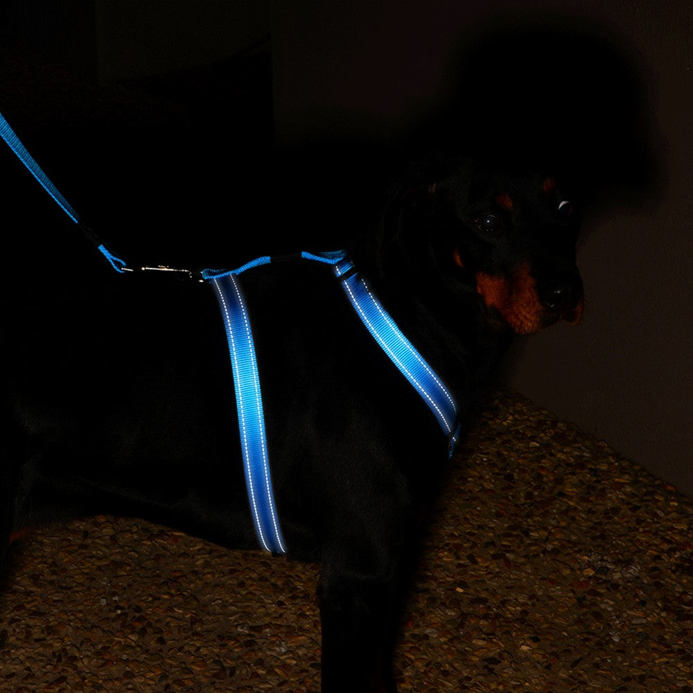 Rogz Utility Reflective H-Harness Blue Lifestyle