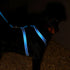 Rogz Utility Reflective H-Harness Blue Lifestyle