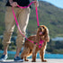 Rogz Utility Reflective Multi Lead Pink Lifestyle