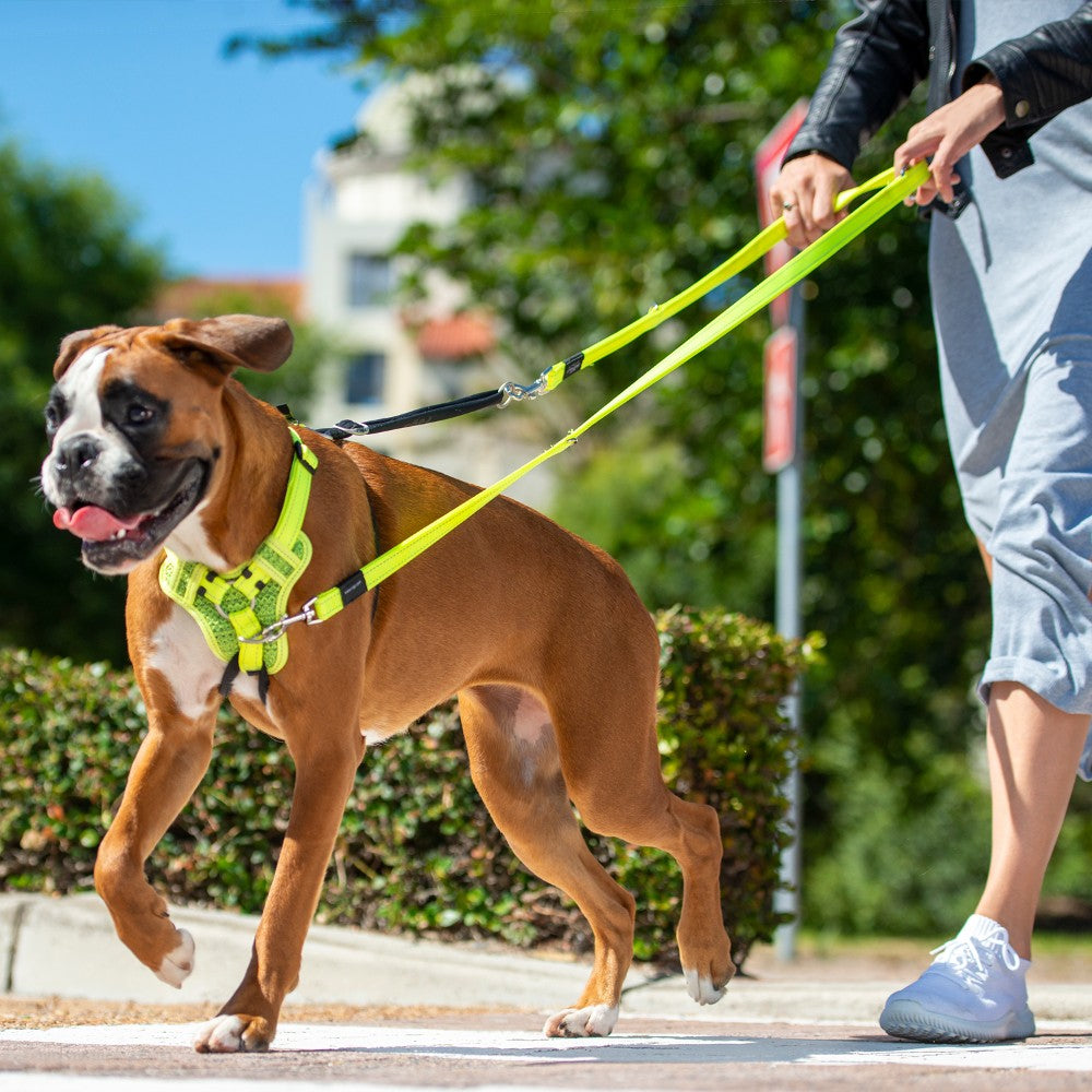 Rogz Utility Stop-Pull Harness Yellow Lifestyle