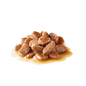 Royal Canin Cat Hair & Skin Wet Food Image of Chunks In Gravy