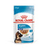 Royal Canin Maxi Puppy Wet Food Pouch Single Pouch Packaging