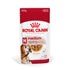 Royal Canin Medium Ageing Wet Food Pouch