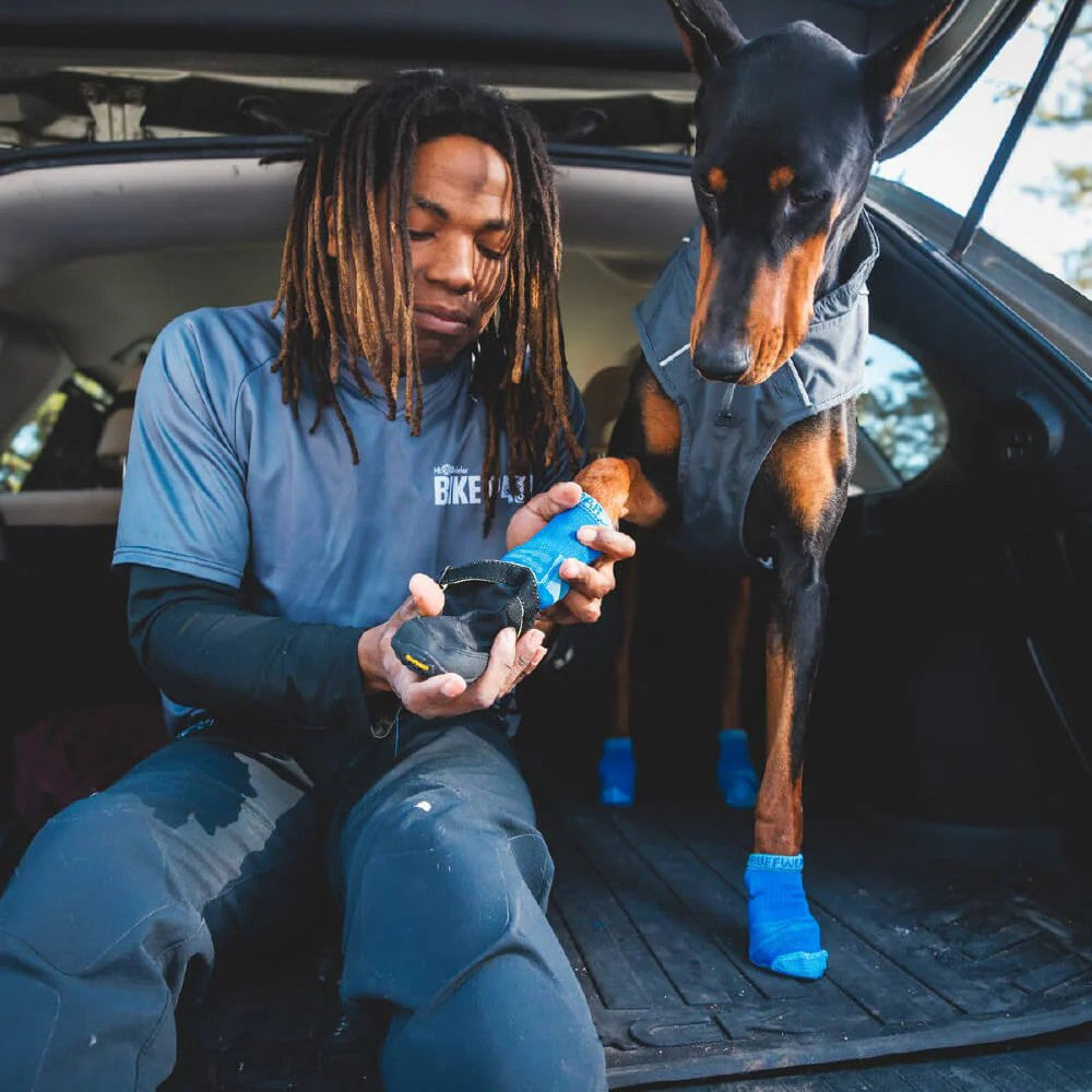Ruffwear Bark 'n Boot Dog Socks - Blue Pool - lifestyle image with pet South Africa retail