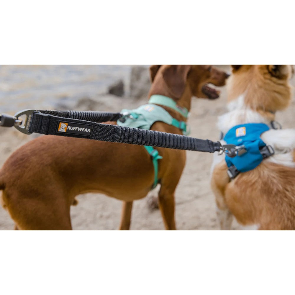 2 dog leash coupler best sale