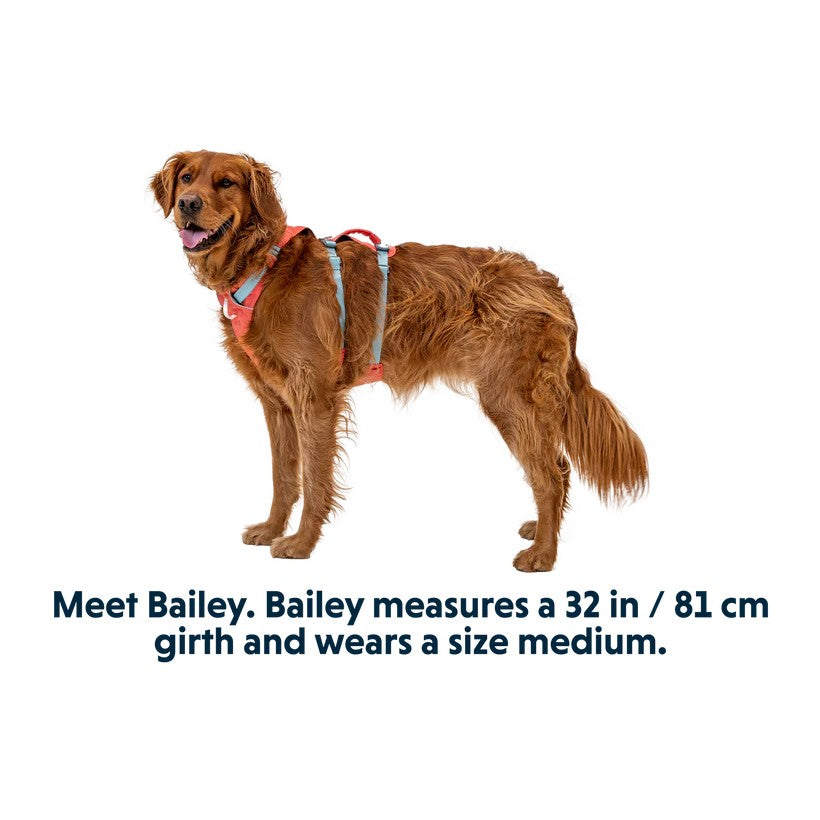 Ruffwear Flagline Lightweight Harness Salmon Pink Size Guide