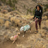 Ruffwear Flagline Lightweight Harness Lifestyle Image